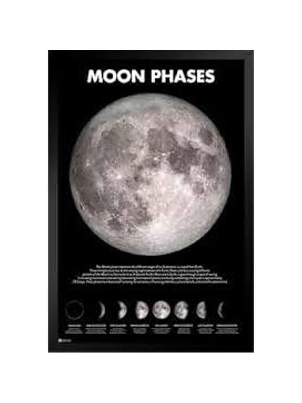 Phases of the Moon Space Lunar NASA 24x36 Black